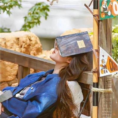 刘德华线上演唱会精选重映