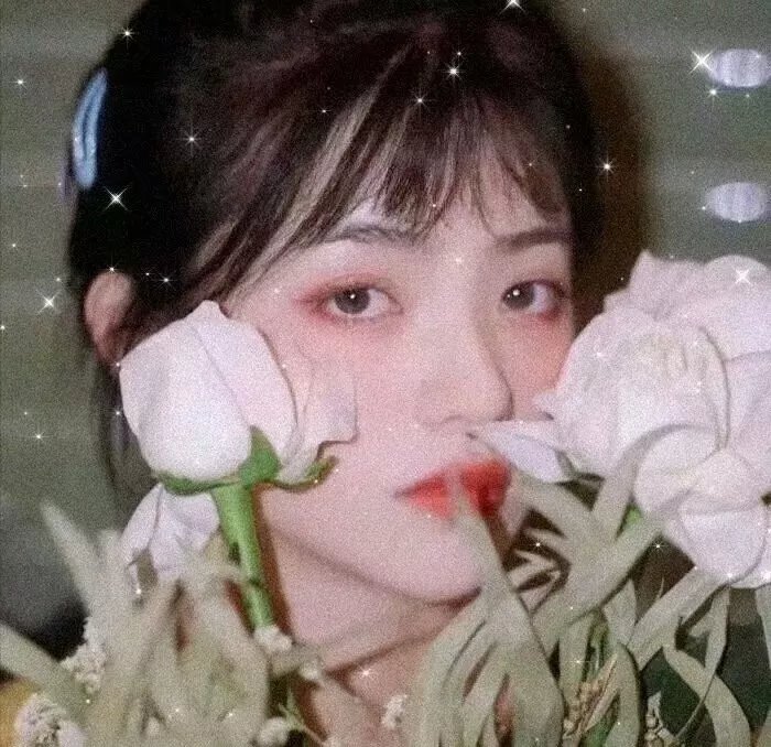 3月的狮子 后篇